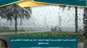 «تحذير عاجل» أمطار رعدية اليوم الأرصاد تحذر من تقلبات الطقس في عدة مناطق